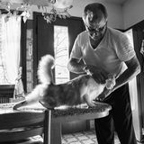 Sabrina Boem - Männer und Katzen