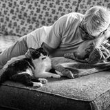 Sabrina Boem - Männer und Katzen