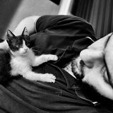 Sabrina Boem - Männer und Katzen