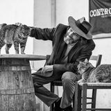 Sabrina Boem - Männer und Katzen