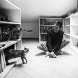 Sabrina Boem - Männer und Katzen