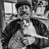 Sabrina Boem - Männer und Katzen