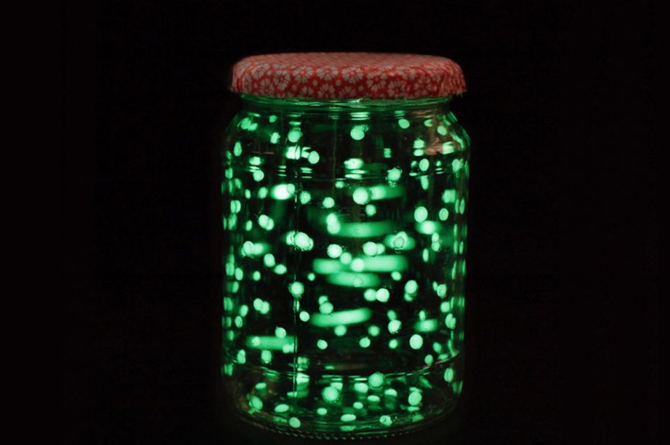 Experiment: Glühwürmchen im Glas