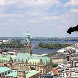 St. Nikolai, Hahmburg