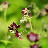 Besuch der Gut Herbigshagener Bienenvölker
