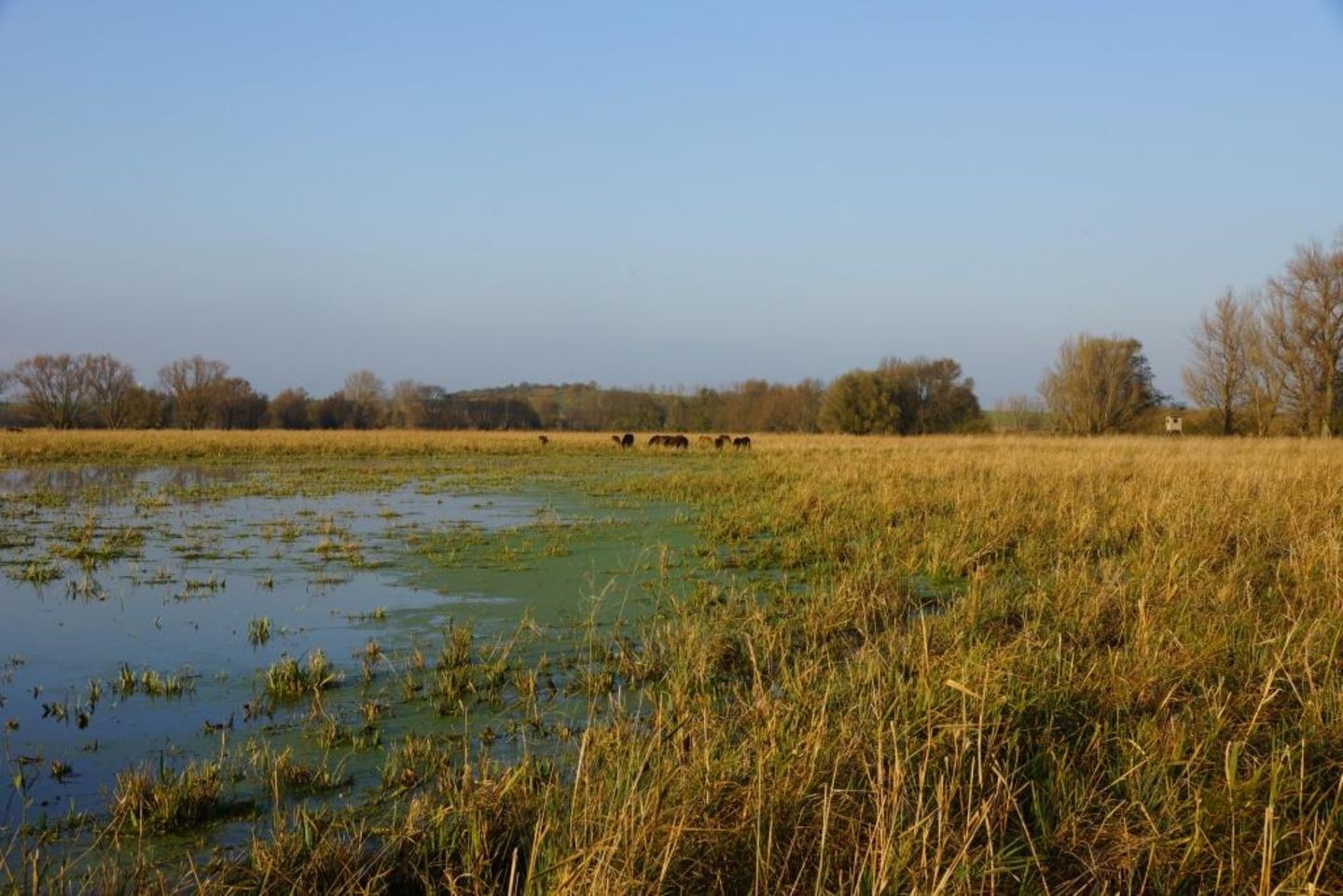 GEO - Tag der Natur