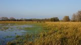 GEO - Tag der Natur