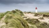 Sylt