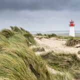 Sylt
