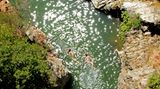 Charco de las Mozas - Rio Guadalmine, Spanien