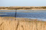 Kroon's Polders, Niederlande