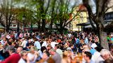 Biergarten auf dem Viktualienmarkt, München, Bayern,