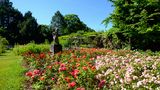 Rosengarten, München