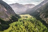 Der große Ahornboden, Bayern