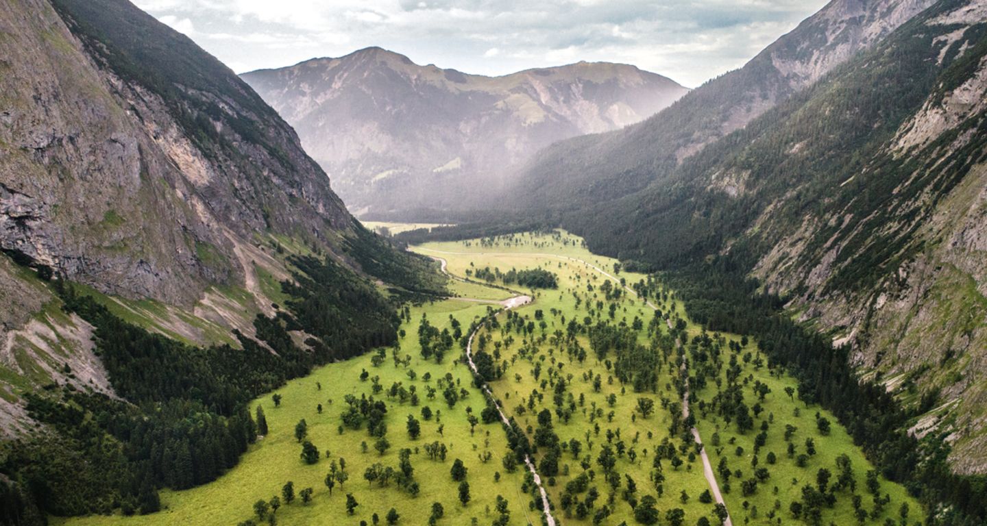 Der große Ahornboden, Bayern