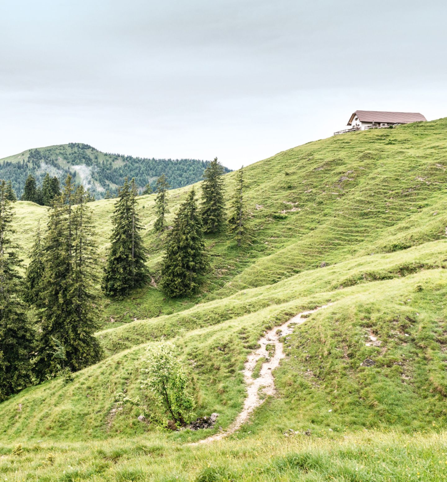 Staffelalm Staffelalm, Bayern