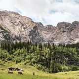 Wettersteinalm, Bayern