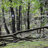 Natzbachpfad, Saarland