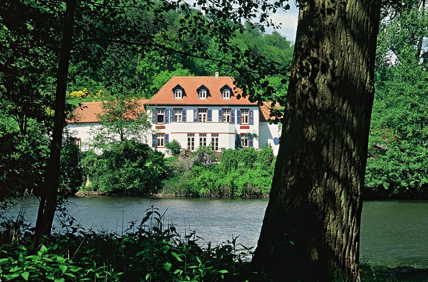 Annahof am Niederwürzbacher Weiher