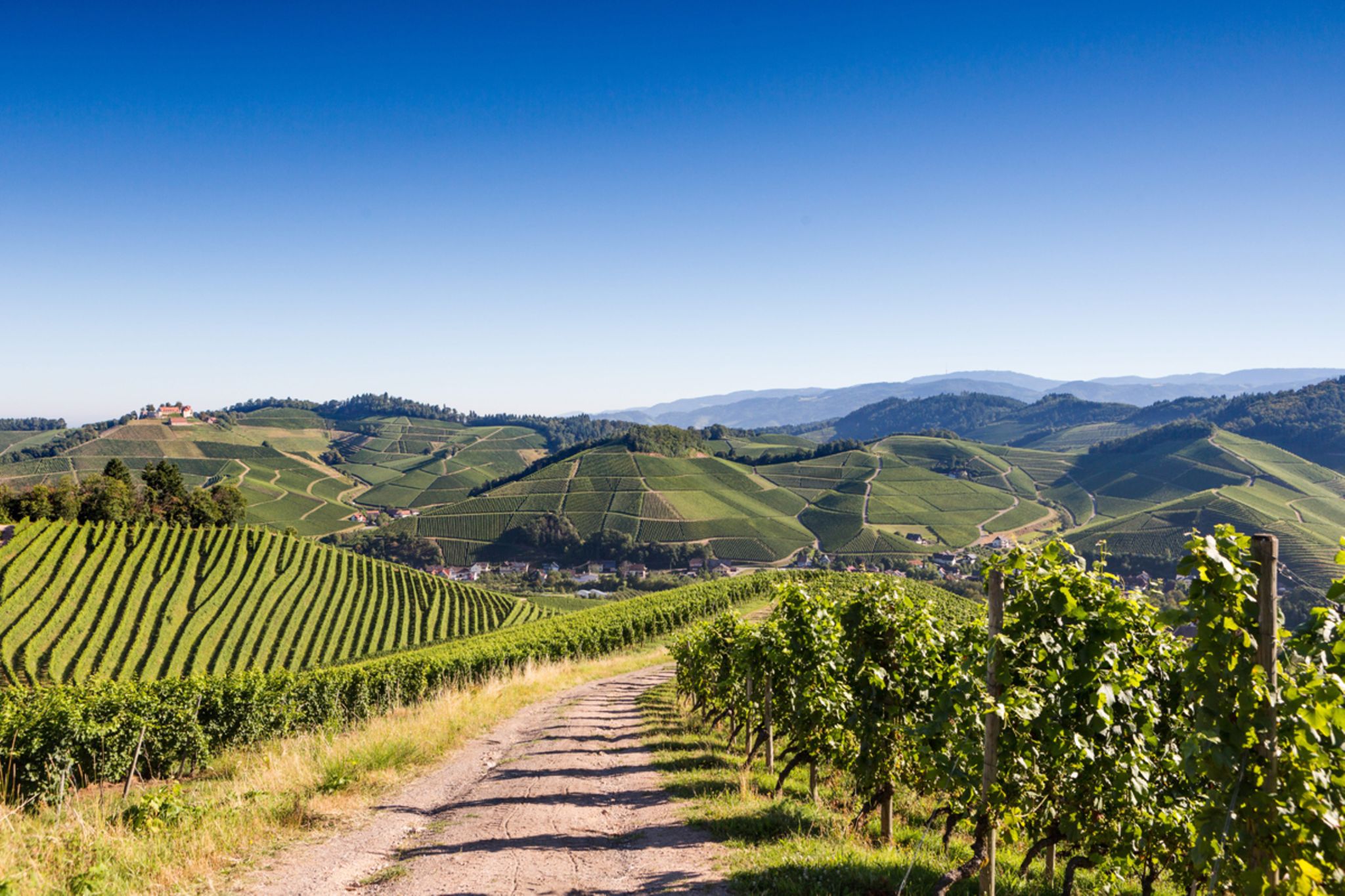 Ortenau: Eine Entdeckung zwischen Schwarzwald und Oberrhein - [GEO]