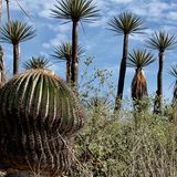 Mexiko, Tehuacán-Cuicatlán-Tal