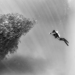 "Underwater Realm"