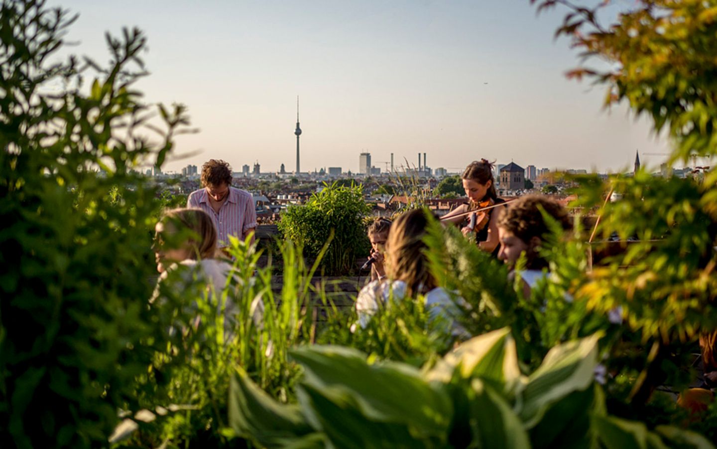 Klunkerkranich Berlin