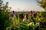 Klunkerkranich Berlin