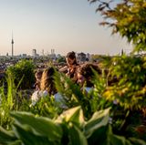 Klunkerkranich Berlin