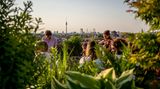 Klunkerkranich Berlin
