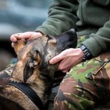 Tracy Kidd / Dog Photographer of the Year 2018