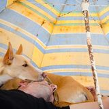 Joana Matos/Dog Photographer of the Year 2018