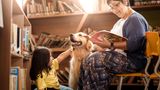Maria Cristina Nadalin/ Dog Photographer of the Year 2018