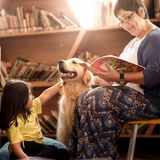 Maria Cristina Nadalin/ Dog Photographer of the Year 2018