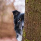 Kirsten van Ravenhorst