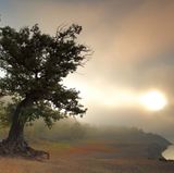 Naturpark Kellerwald-Edersee