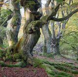 Naturpark Kellerwald-Edersee