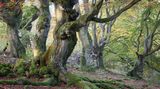 Naturpark Kellerwald-Edersee