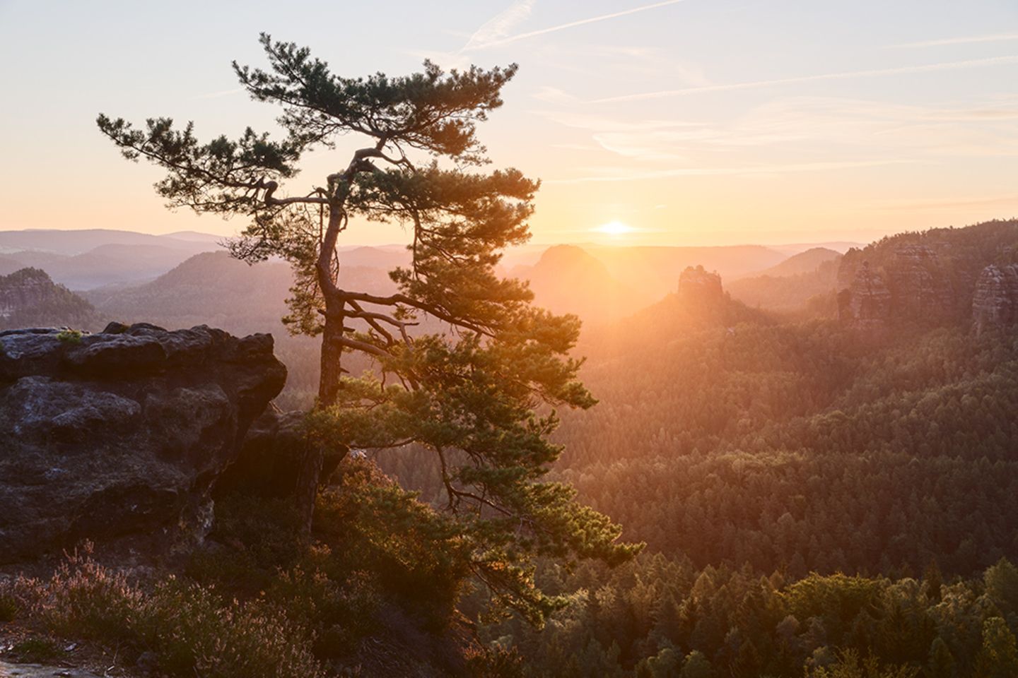 Sächsische Schweiz, Gleitmannshorn
