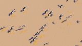 Lake Eyre führt wieder Wasser