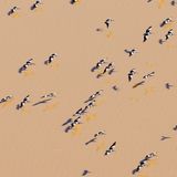 Lake Eyre führt wieder Wasser