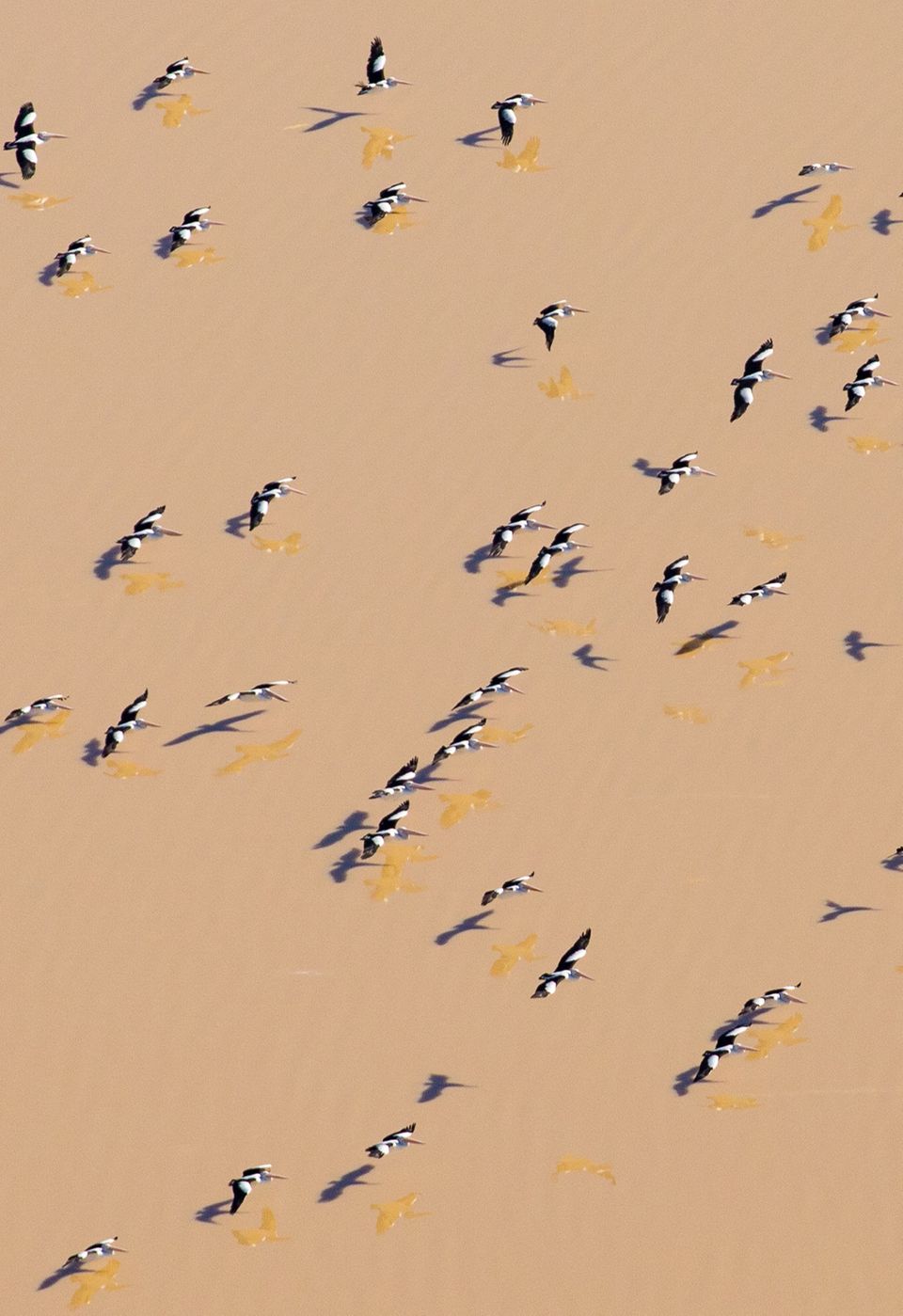 Lake Eyre führt wieder Wasser [GEO]