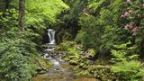 Geroldsauer Wasserfall