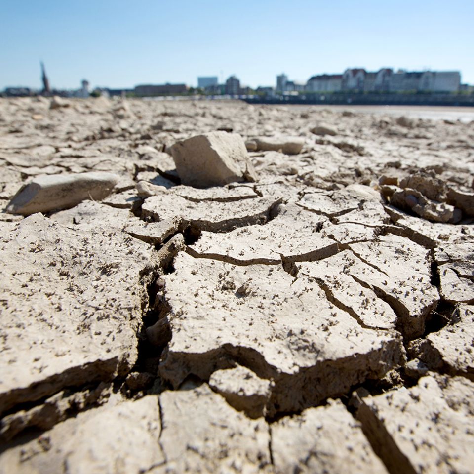 Düsseldorf: Am Ufer des Rheins sind durch die anhaltende Trockenheit Risse entstanden.