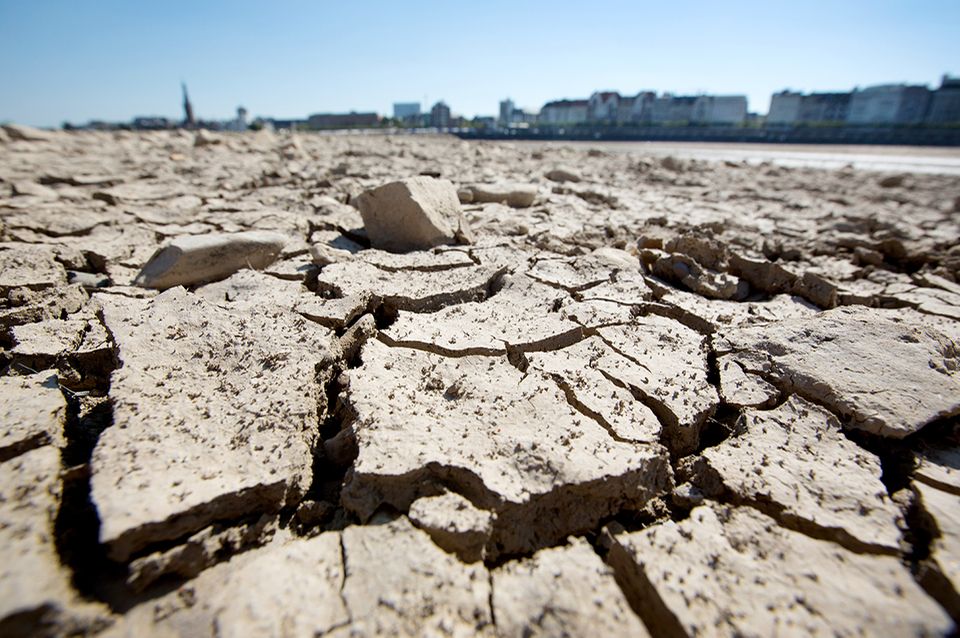 Düsseldorf: Am Ufer des Rheins sind durch die anhaltende Trockenheit Risse entstanden.