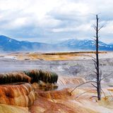 Yellowstone Nationalpark