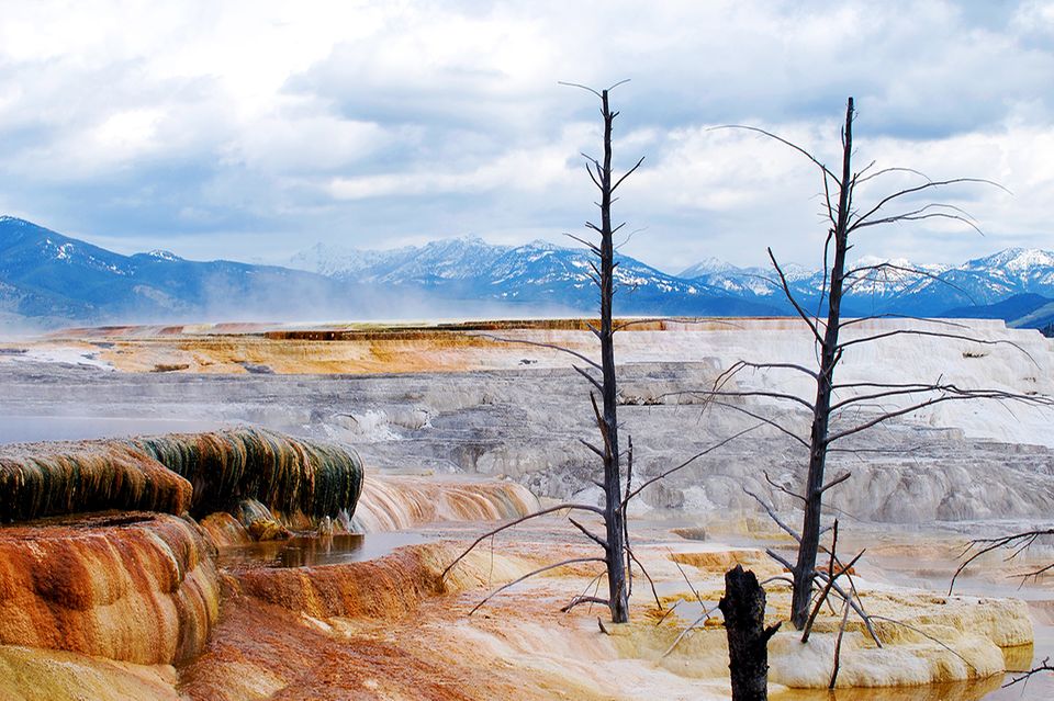 Yellowstone Nationalpark