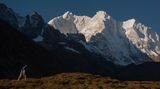 Qomolangma-Naturreservat