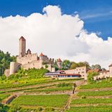 Burg Hornberg