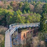 Baumkronenpfad Beelitz